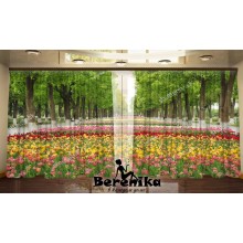 Фото штори Весняний парк