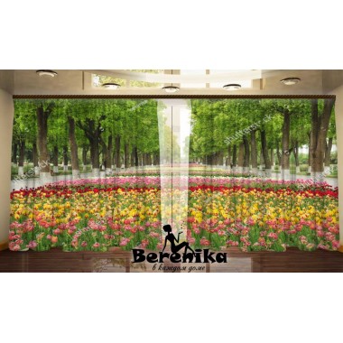 Фото штори Весняний парк