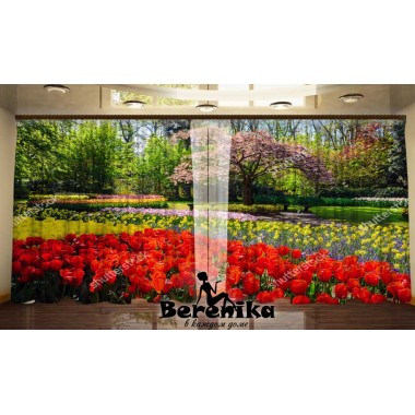 Фото штори Весняний парк 5