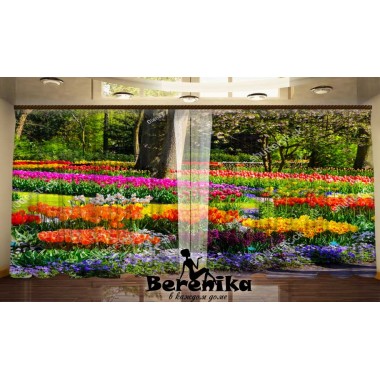 Фото штори Весняний парк 7