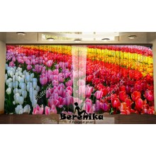Фото штори Весняний парк 8