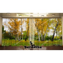 Фото штори Осінні берези 2 Фото штори Осінні берези 2