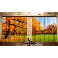 Фото штори Осіння казка 5 Фото штори Осіння казка 5