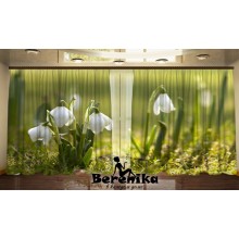 Фото штори Проліски