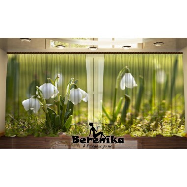 Фото штори Проліски