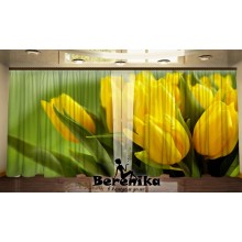 Фото штори Жовті тюльпани