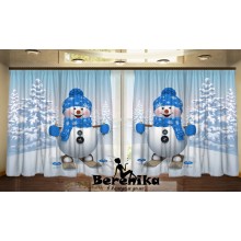 Фотоштори Сніговики на прогулянці