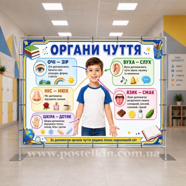 Банер Органи чуття