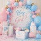 Gender Party Gender Party