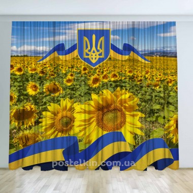 Патріотичні штори 16