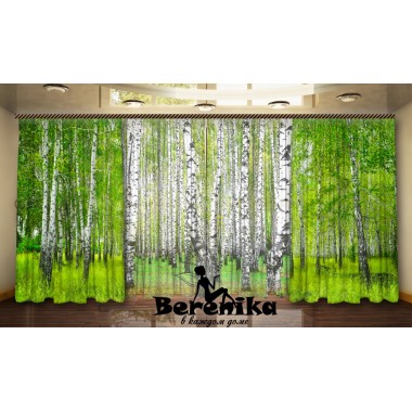 Комплект Березовий гай