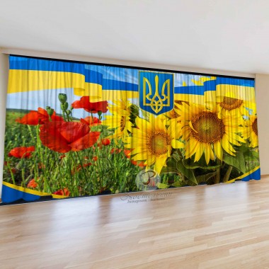 Патріотичні штори 9