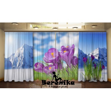 Комплект Крокуси і гори