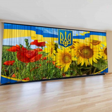 Фото штори День Незалежності 20