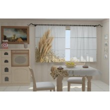 Фотоштори Урожай