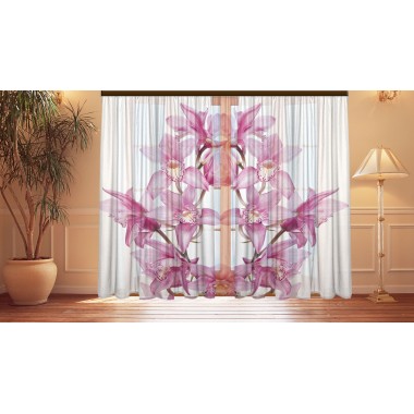 Фотоштори Ласкава орхідея